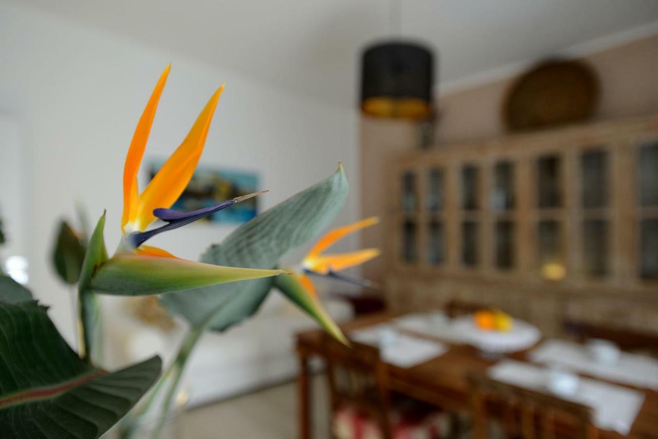 B&B Alghero 82 Ngoại thất bức ảnh